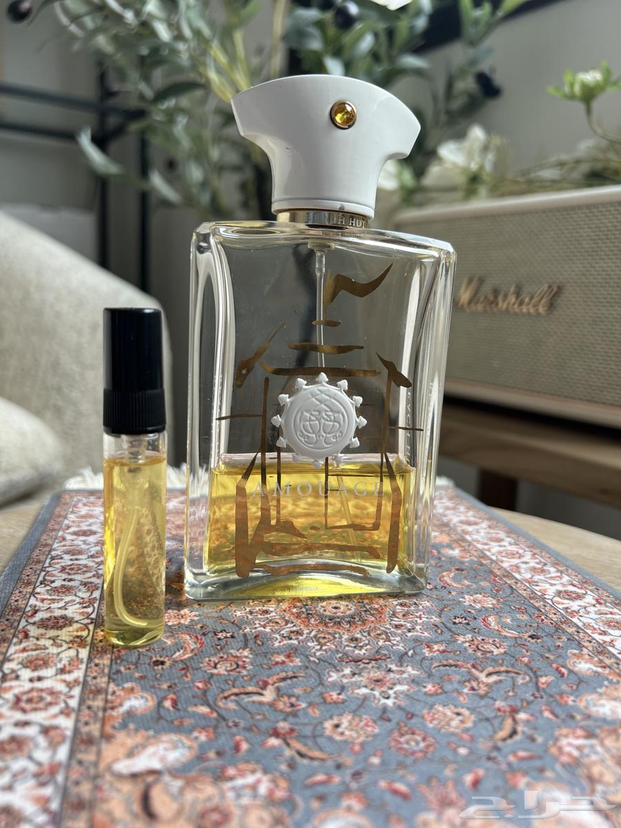 تقسيم عطور اصلية63026639931265112