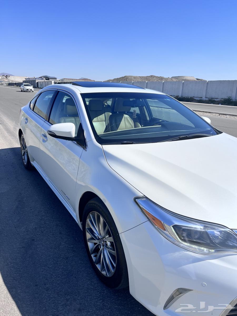 Avalon Limited 201663429906188163111