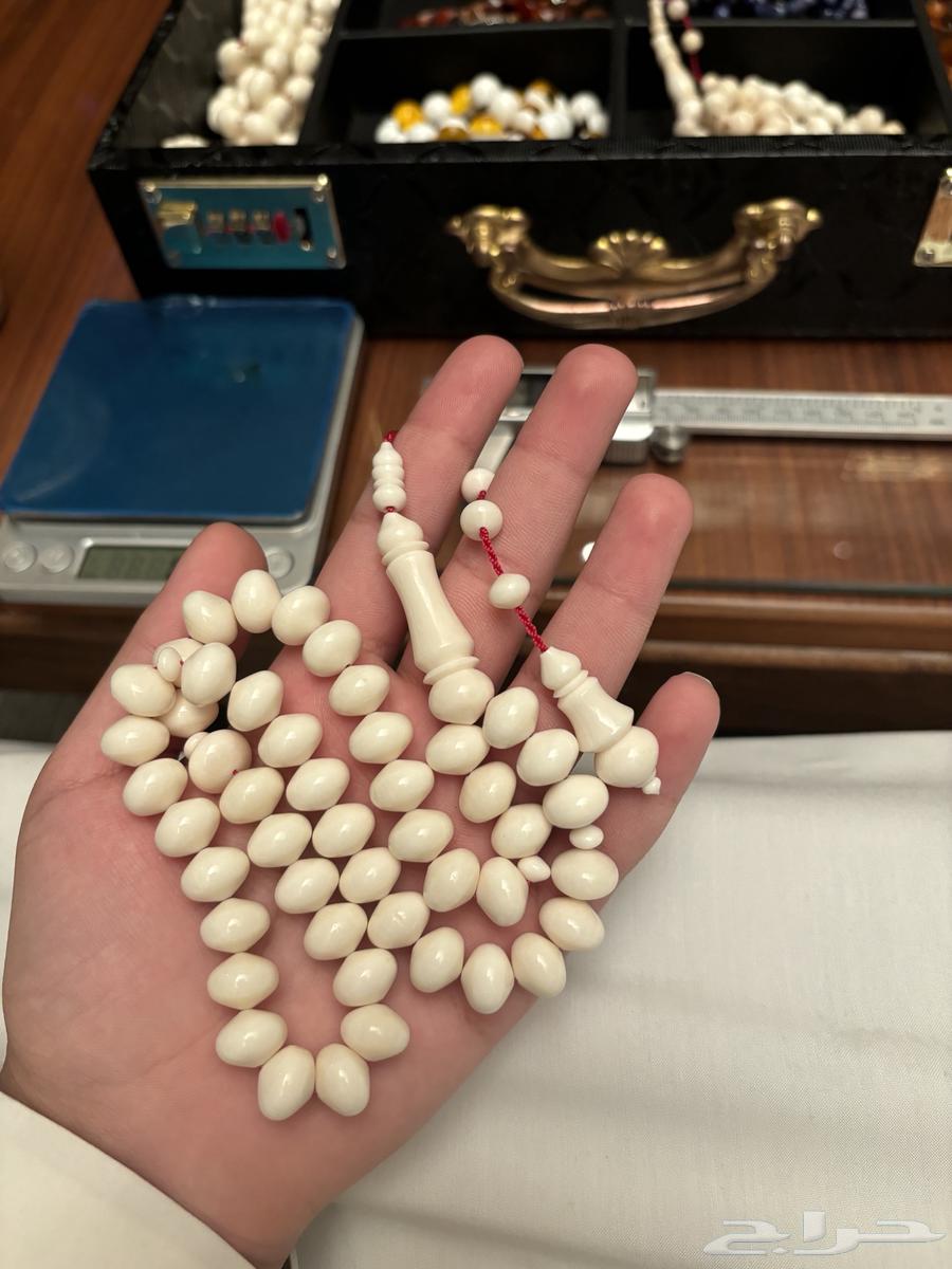 مسباح عضم جمل632648244984341115