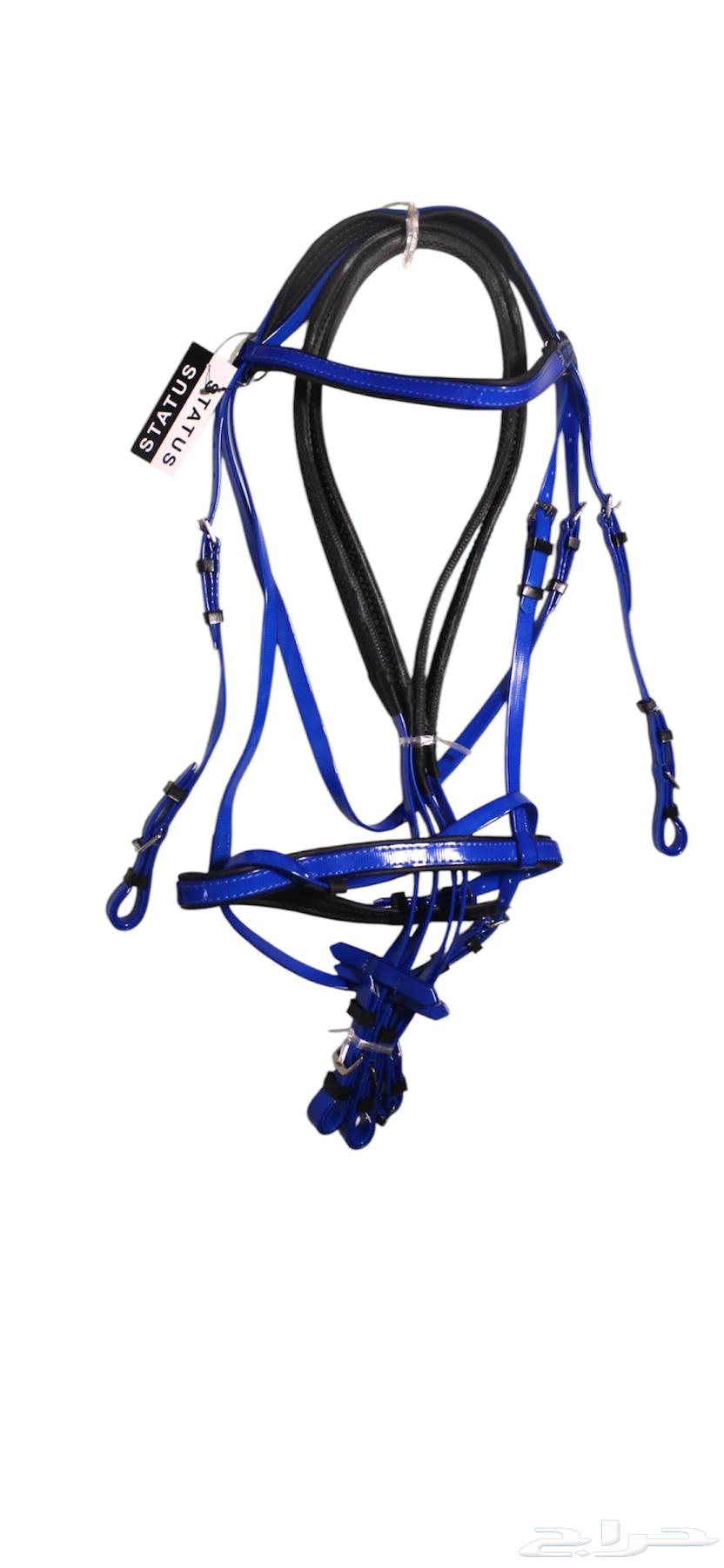 Horse equipment bridle Estilos632648242700821114