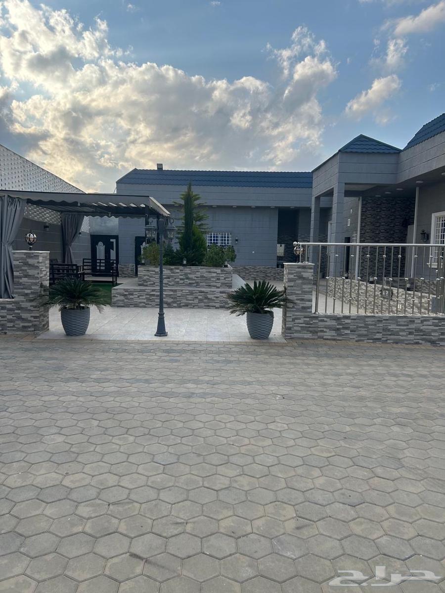 Council and volleyball court for rent63007299392515114