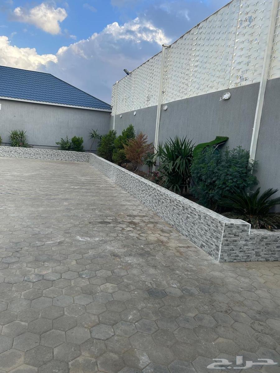 Council and volleyball court for rent63007299392515113
