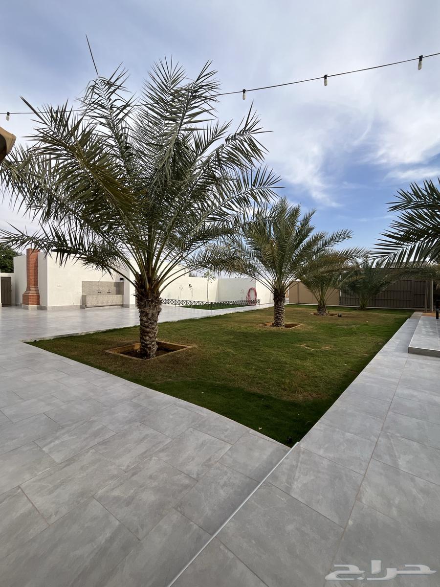 Rest area for rent in Buraidah city63007414066435111