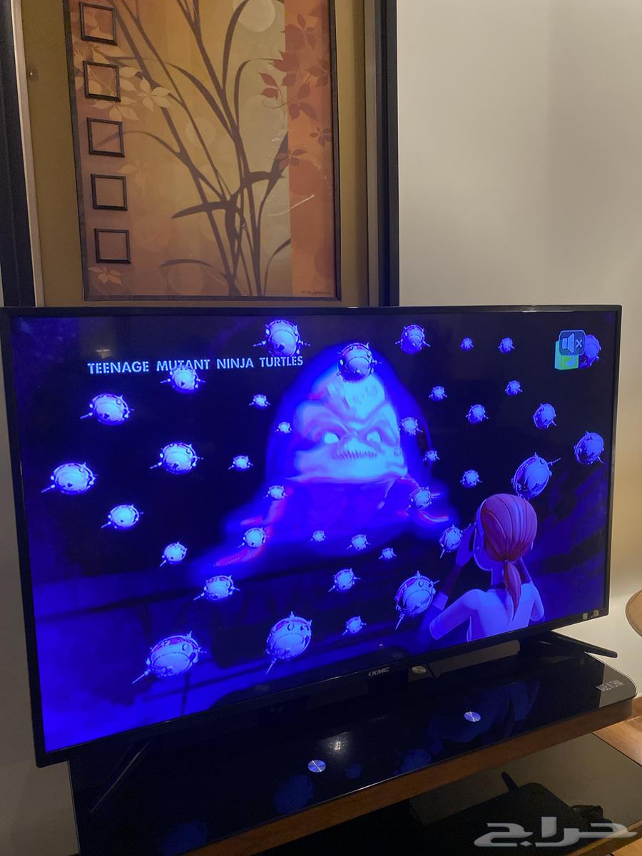 TV632614990653451123