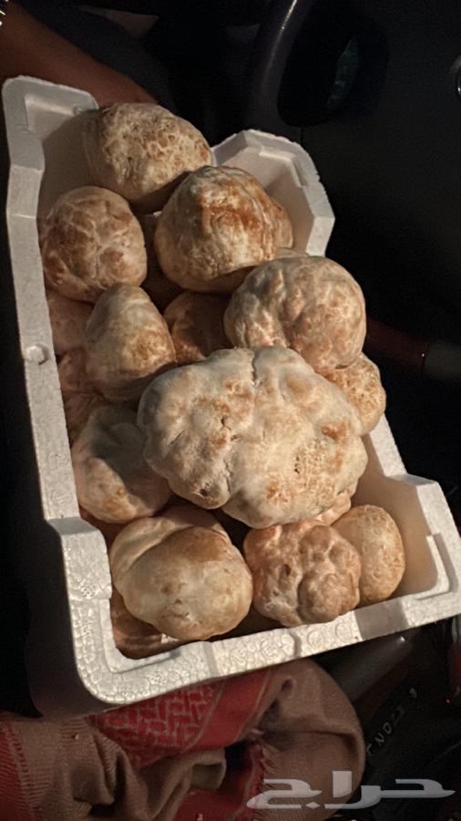 فقع زبيدي بلدي طازج وجديد63262073736195112