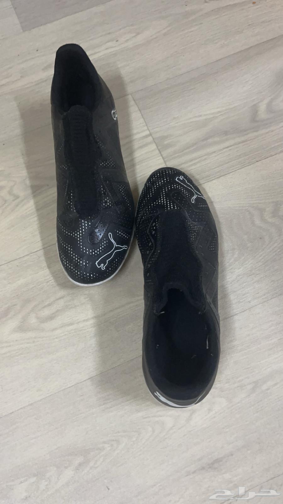 Puma and Sandal63617577304449111