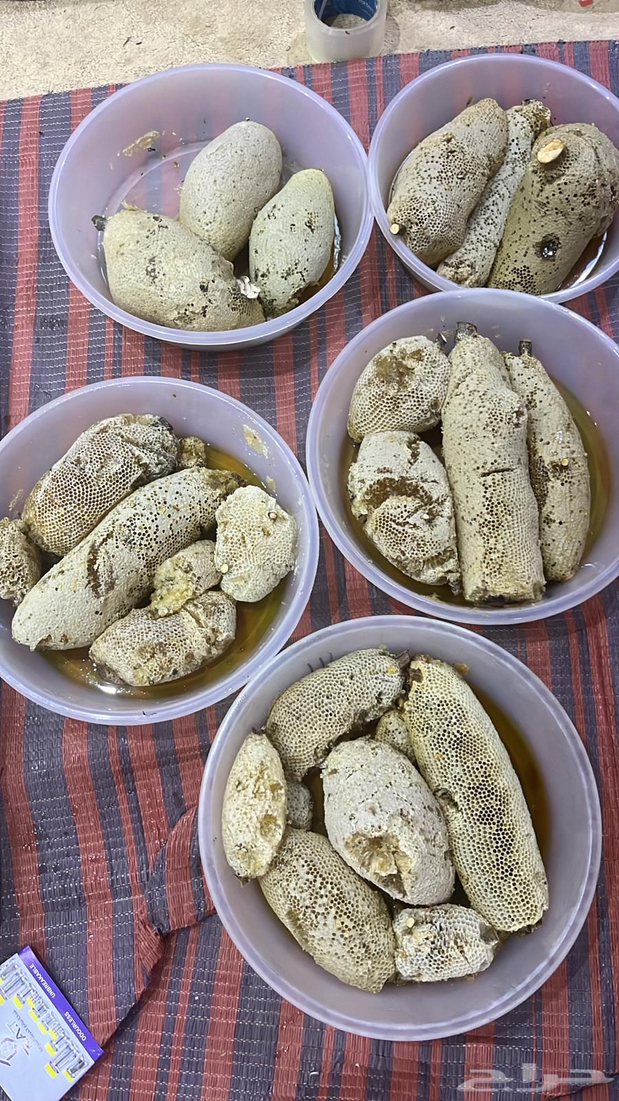Wild sidr honey63257859011714116