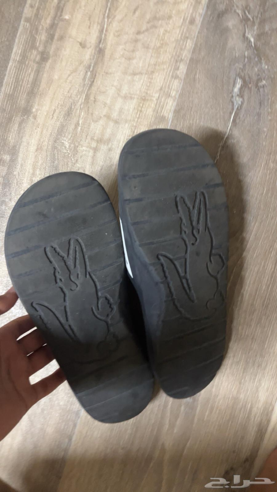 Puma and Sandal63617577304449112