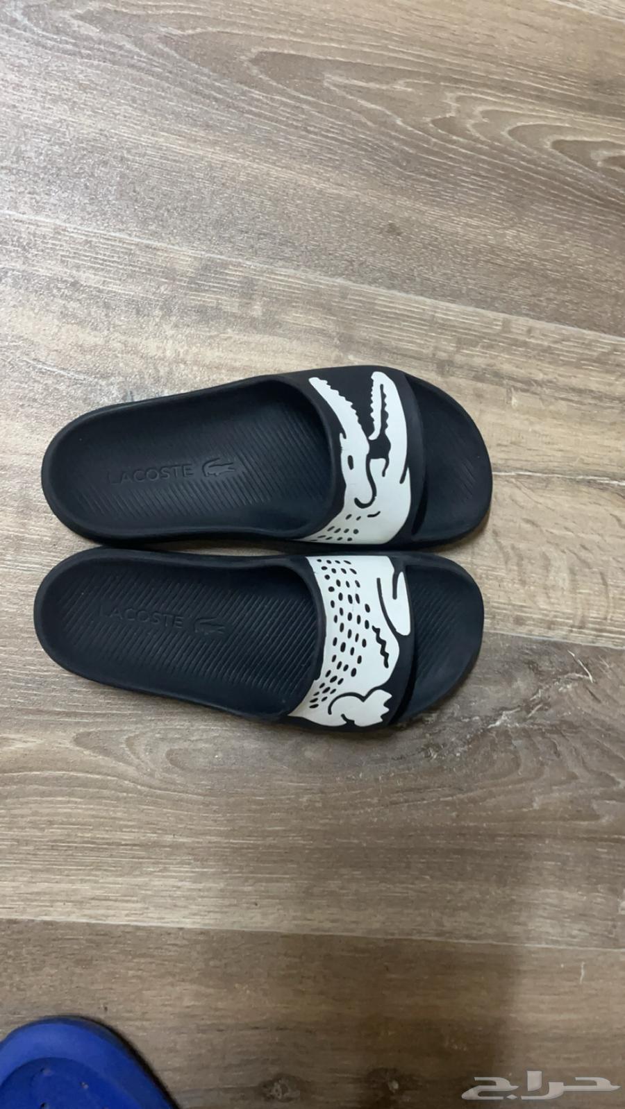 Puma and Sandal63617577304449113