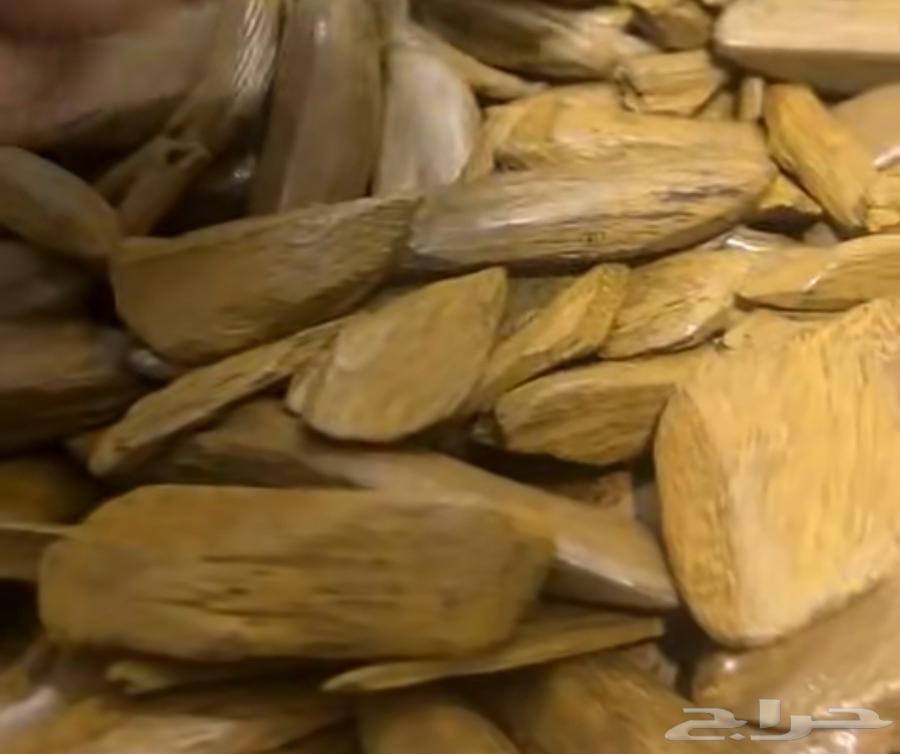 مروكي الضيافة محسن63257850490881111