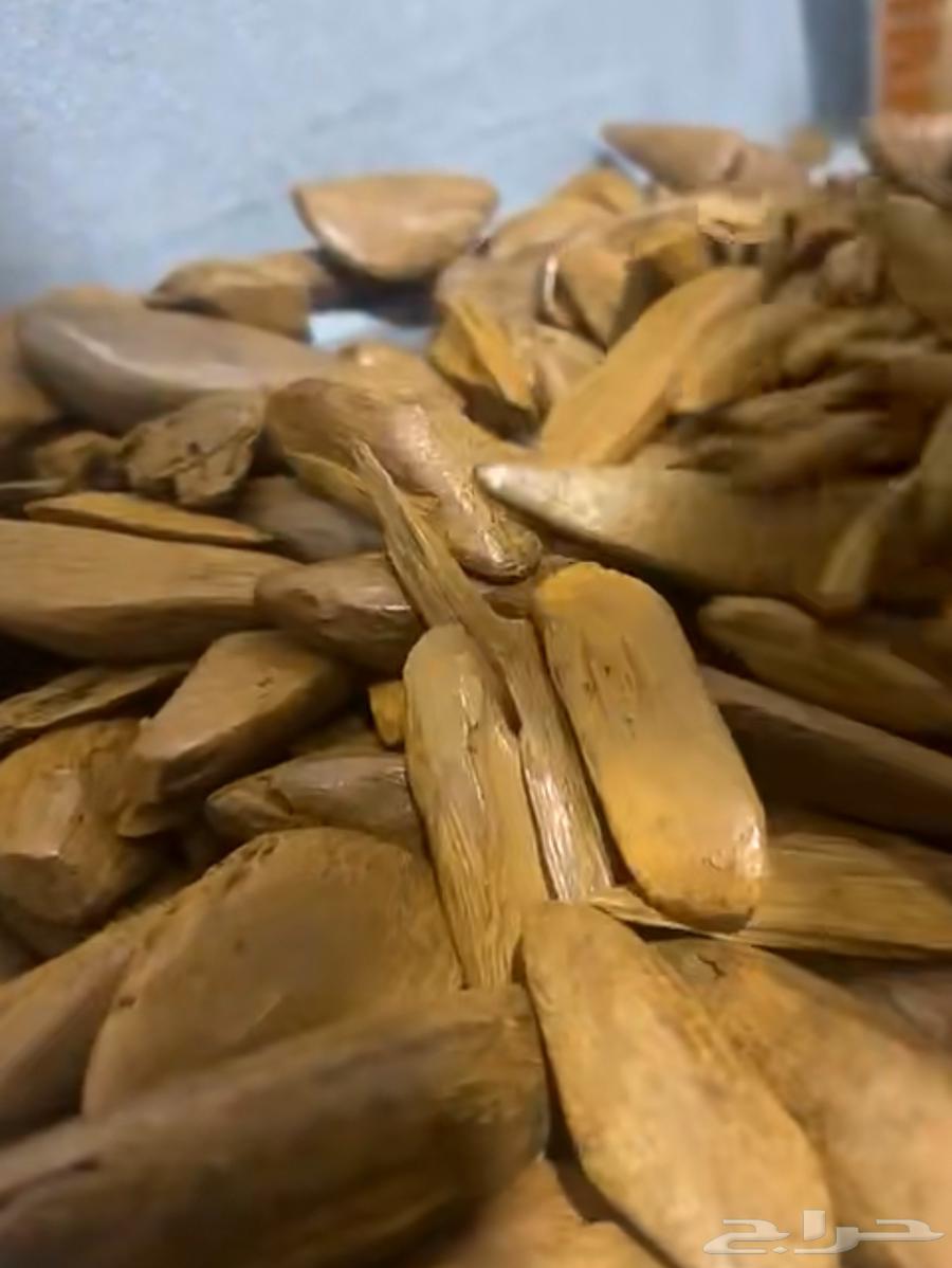 مروكي الضيافة محسن632578504908811118