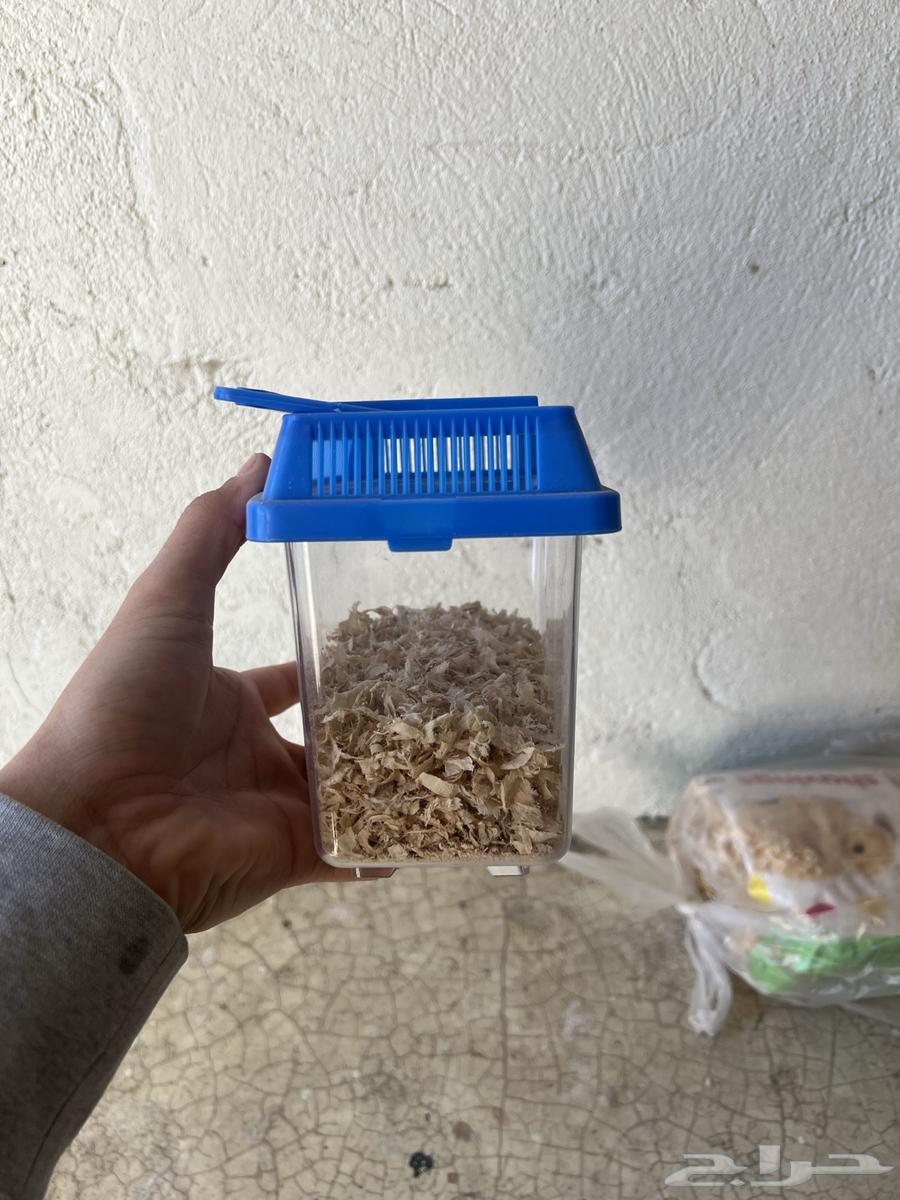 New bird incubator63617736519938112