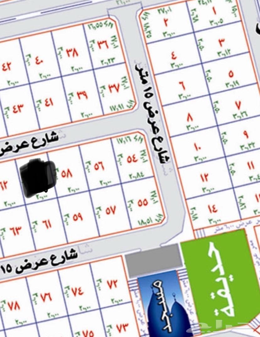Land for sale in Al-Salam plan63007339593731113