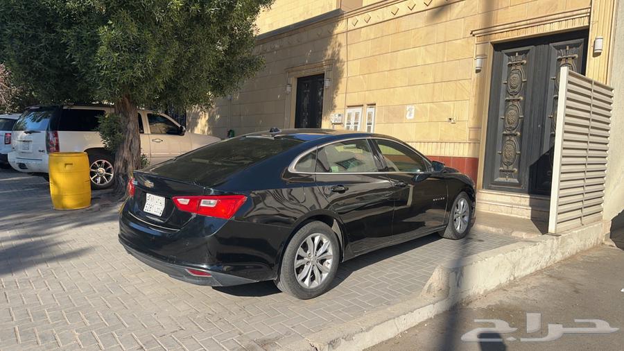 ماليبو 202063416971344641114