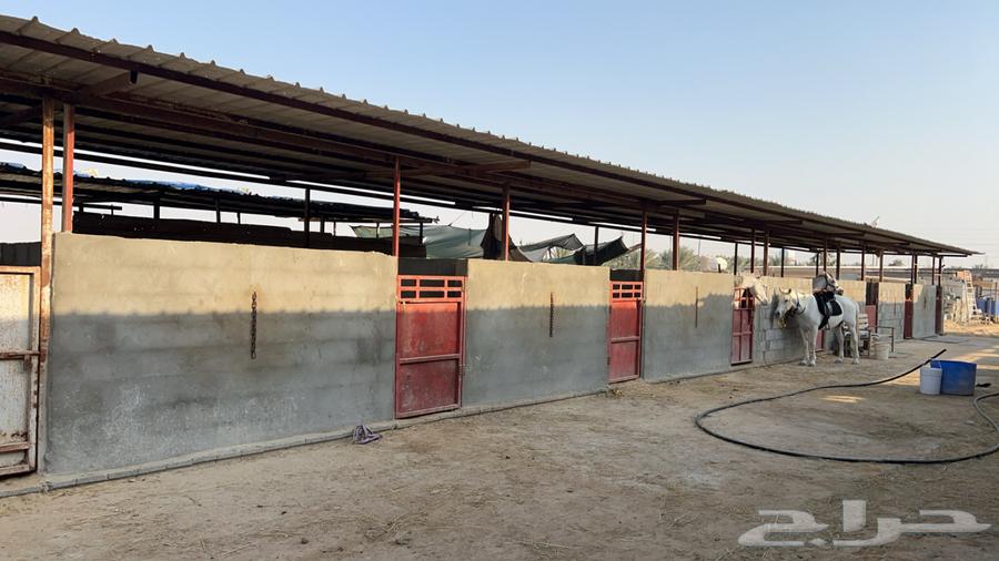 Monthly horse rental for 16063257367168129110