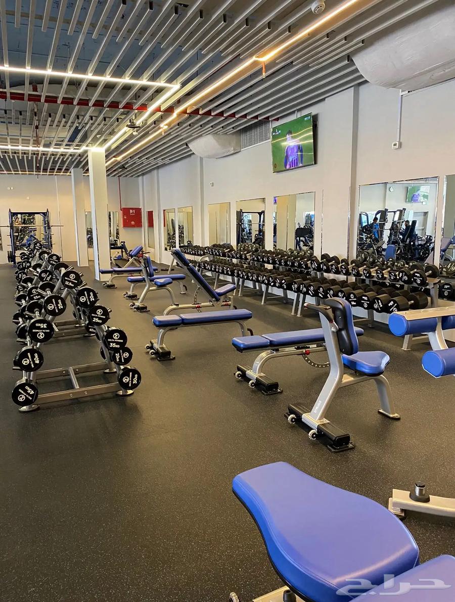 9-month Fit Fitness membership for 700, transportation for 430, half on you and half on me63255246396035110