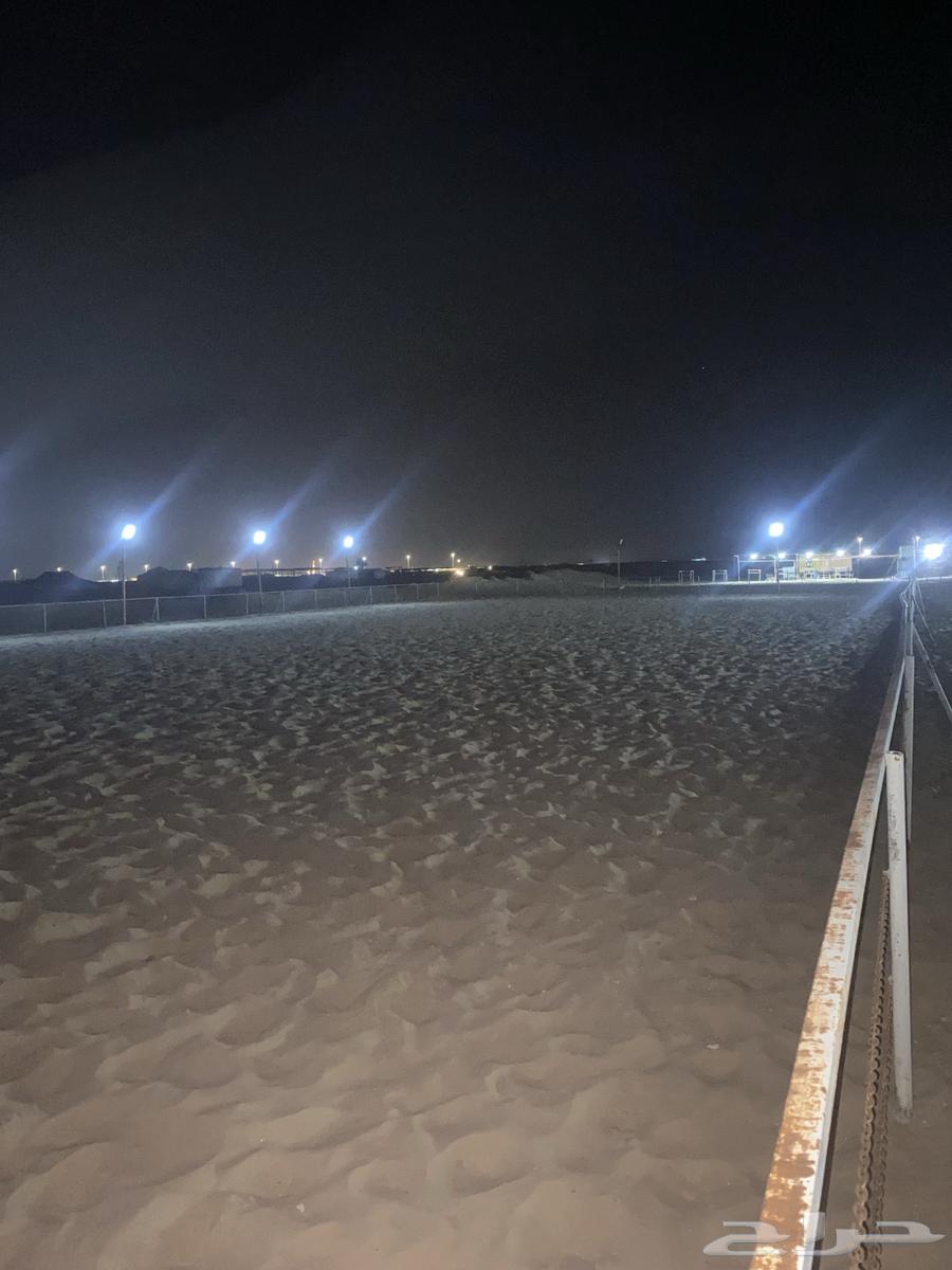ايواء خيل بوايك63253698170883114