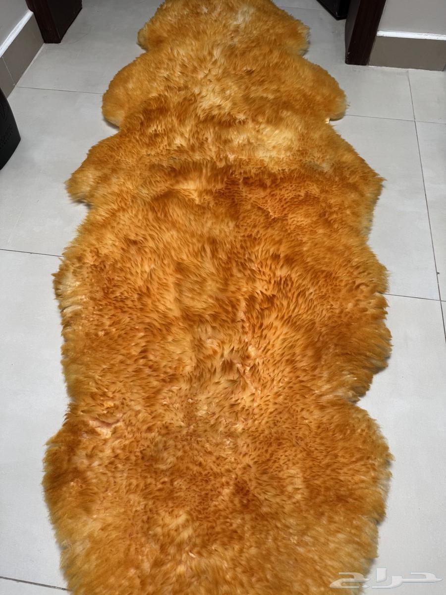 Two used car seat covers63253695231363114