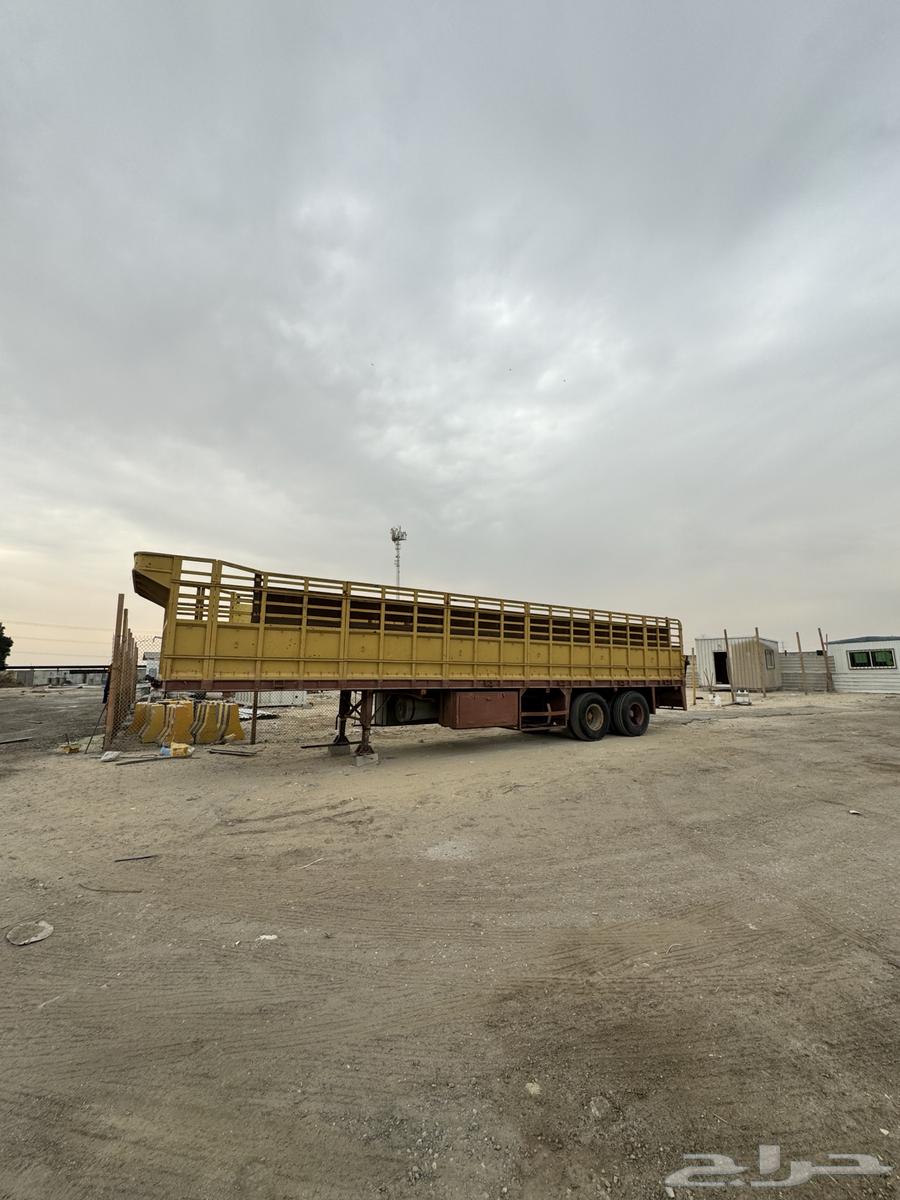 جوانب يوغزلافي طول 12 متر لعاب63252132390786119