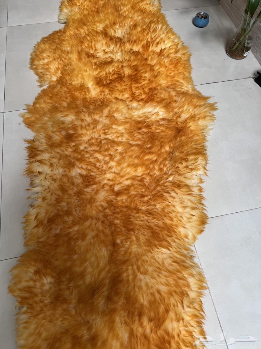 Two used car seat covers63253695231363111