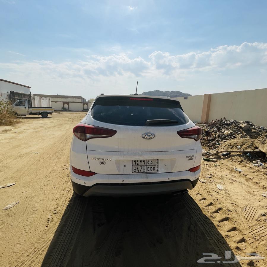 Tousan 2018 opened a panoramic roof walkway (370,000).63413732898051113