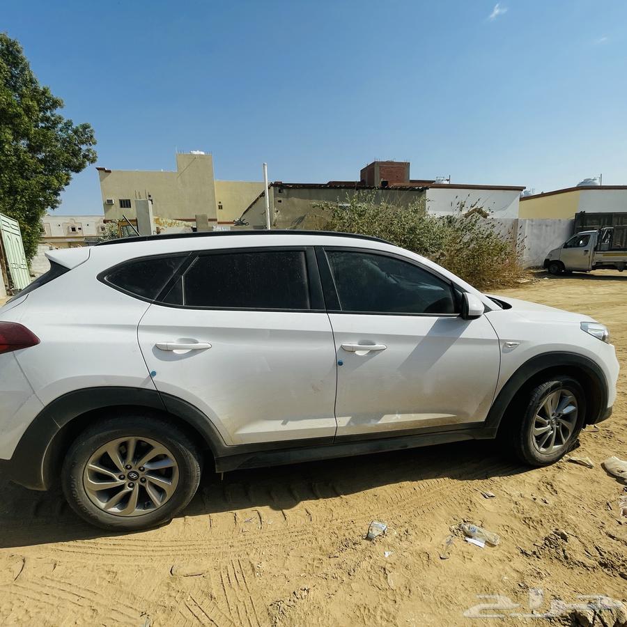 Tousan 2018 opened a panoramic roof walkway (370,000).63413732898051111