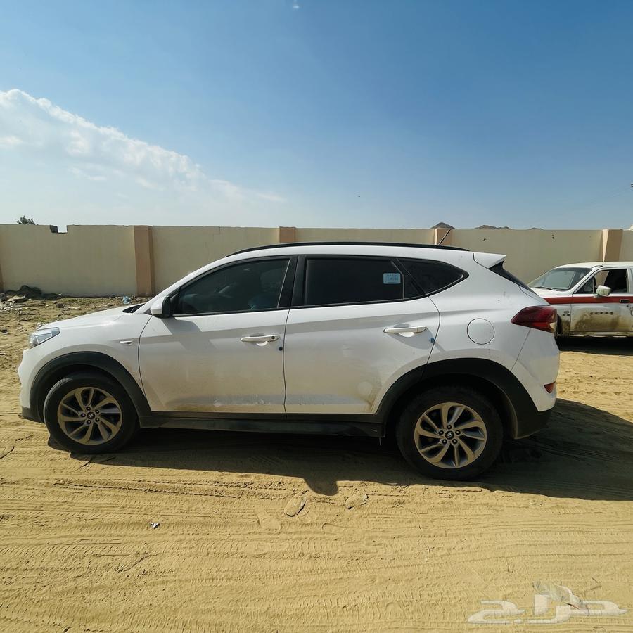 Tousan 2018 opened a panoramic roof walkway (370,000).63413732898051112