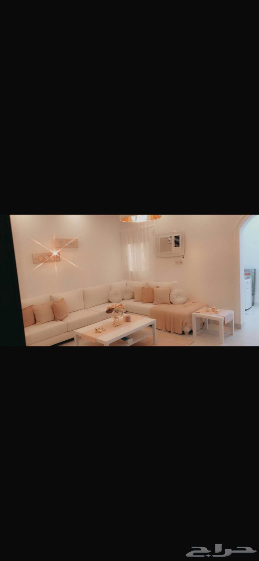 كنب حرف L لون سكري632542020616991119