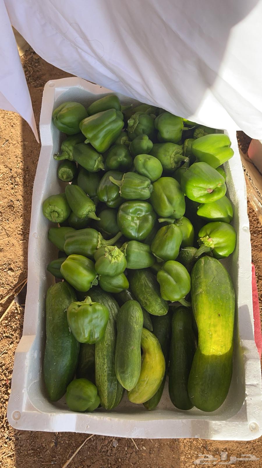 Farmers, equipment, and agricultural land63253206669697113