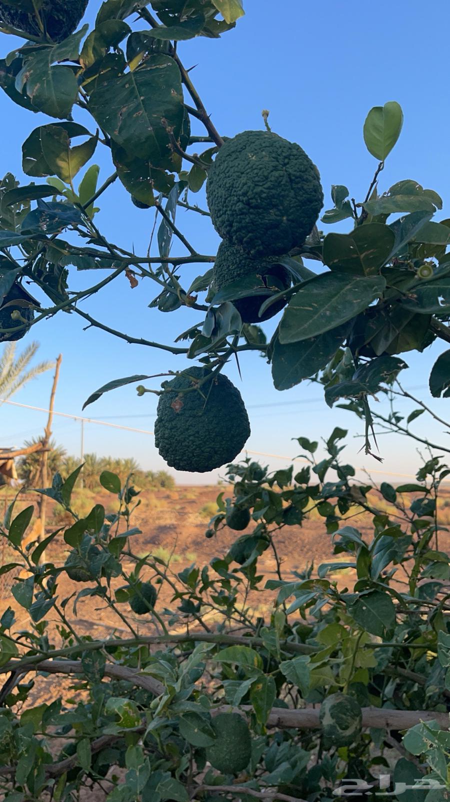 Farmers, equipment, and agricultural land63253206669697111