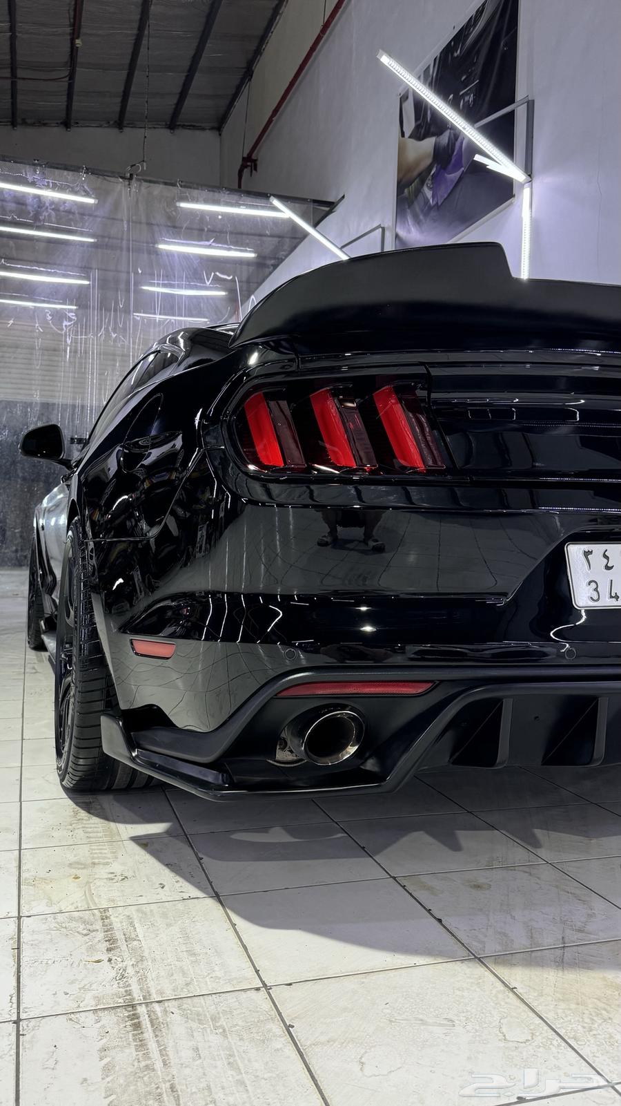Mustang 201763408784468225112