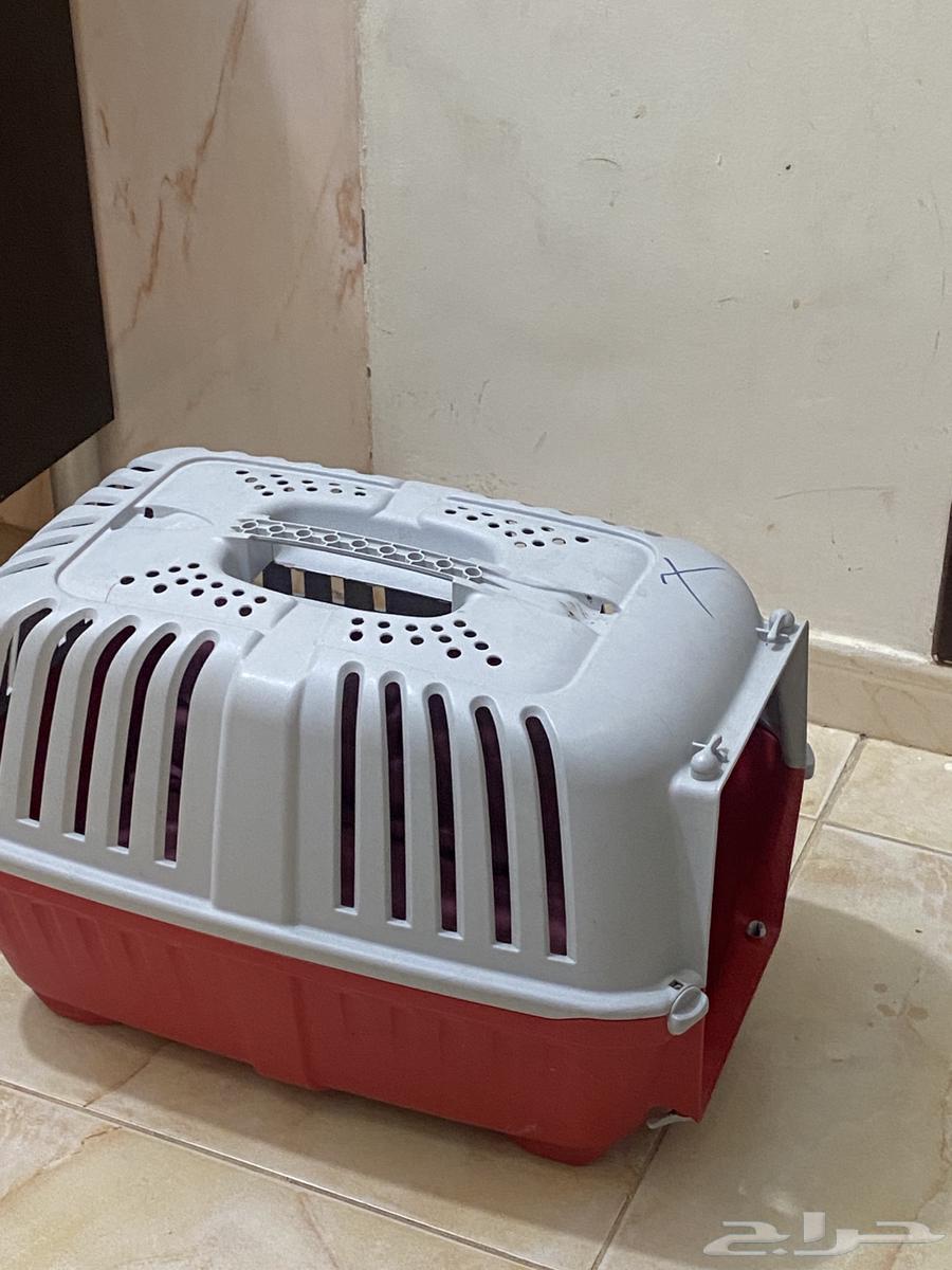 Used cat litter box and food for sale63251044536578110
