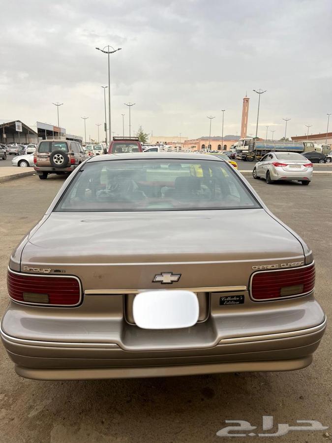 كابرس Ltz63408784359169111