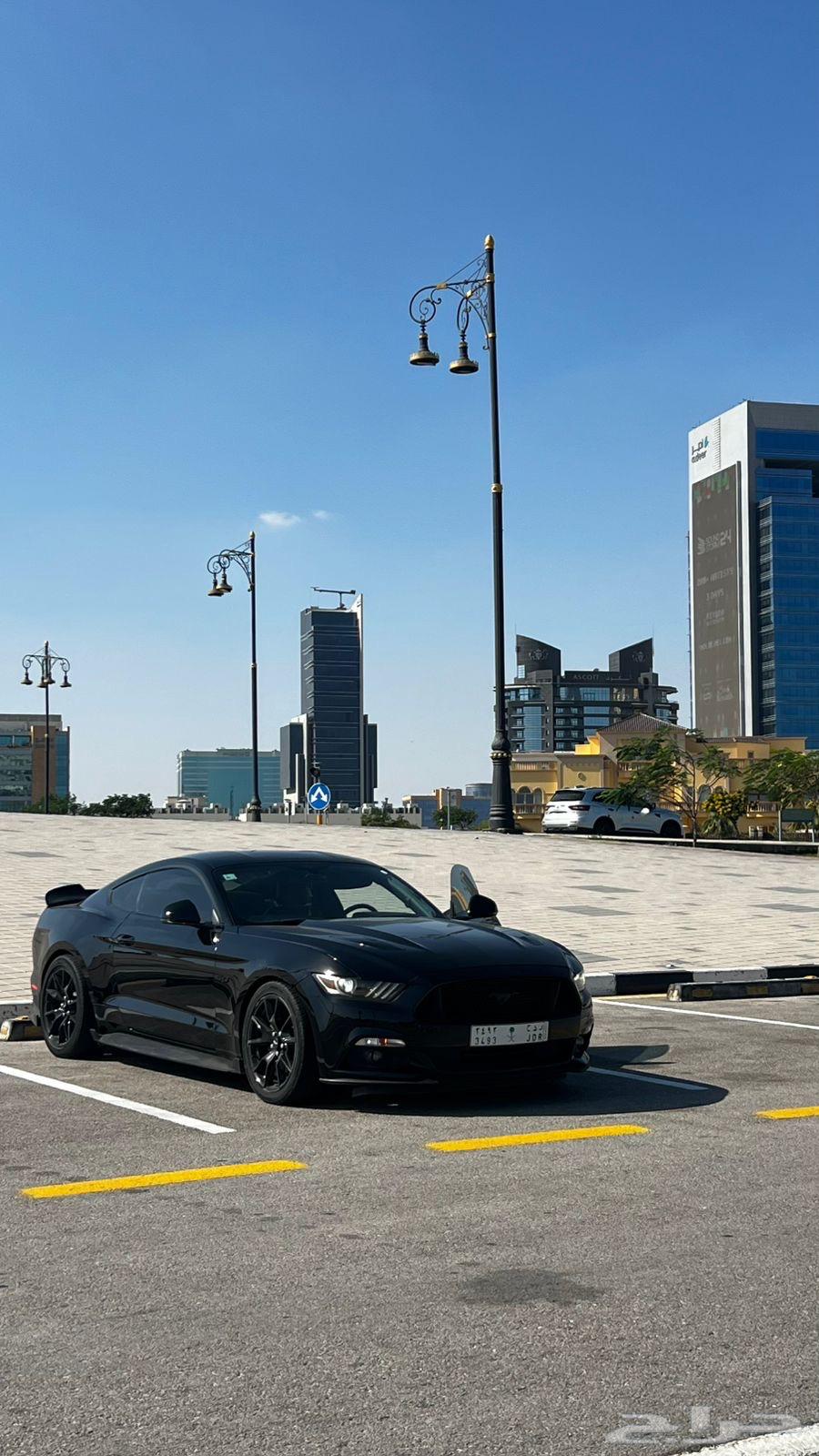 Mustang 2017634087844682251114
