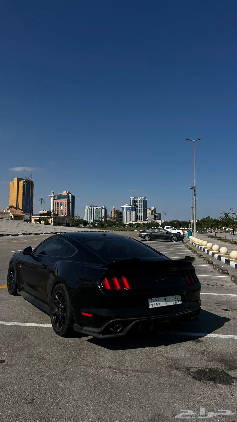 Mustang 201763408784468225111