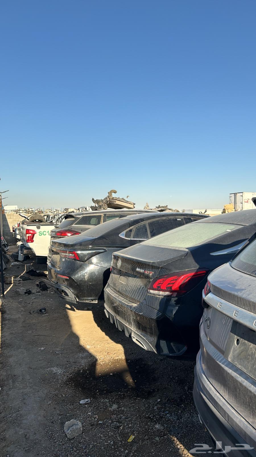 جميع أنواع الصيني64184732038019110