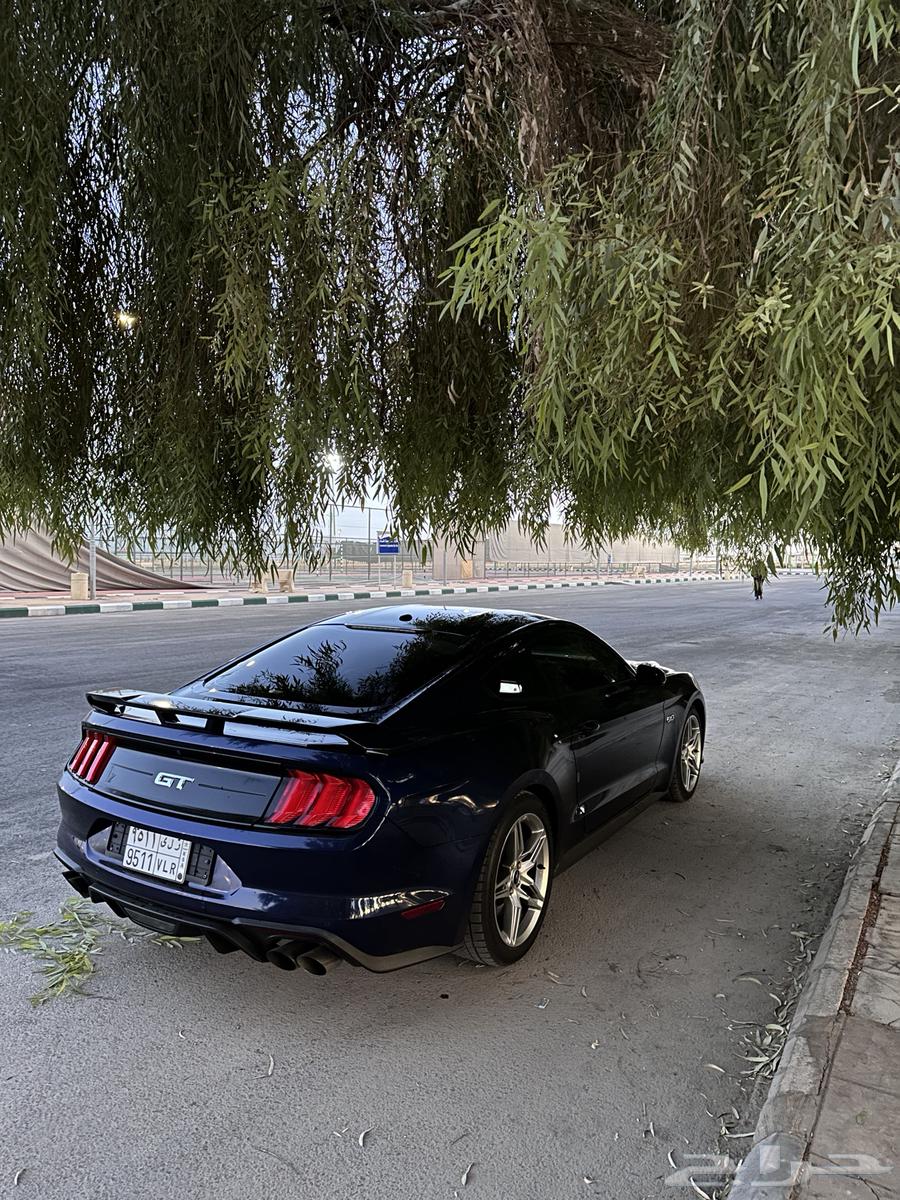 فورد موستنج GT بيرفورمنس باكج 2020 نسخة 55 عاما - تم البيع63407132076545112