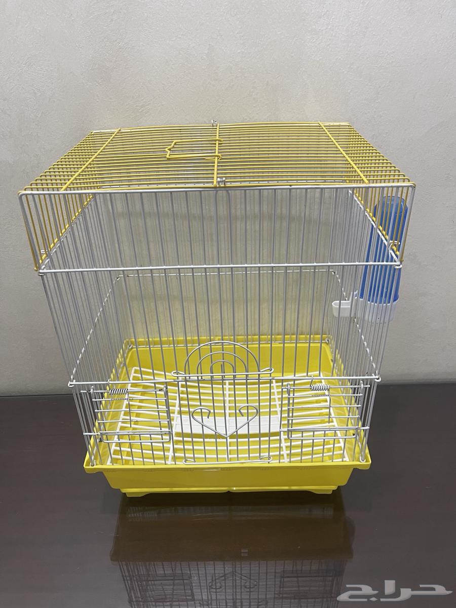 Zebra Finch Canary Bird Cages All Types of Birds63617996908545112