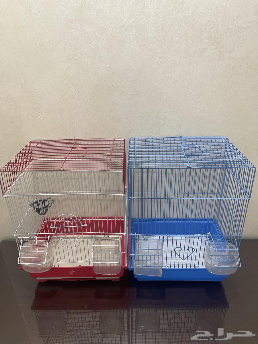 Zebra Finch Canary Bird Cages All Types of Birds63617996908545114