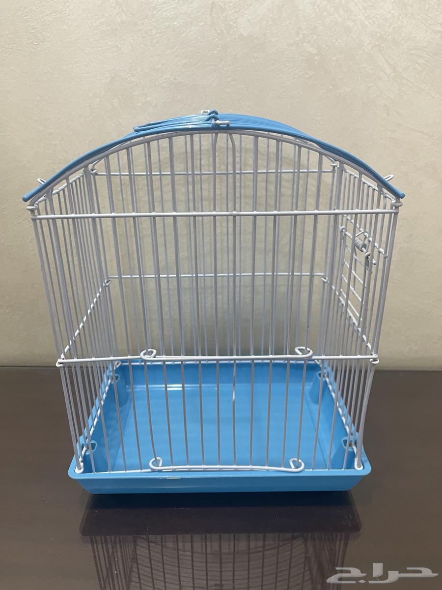 Zebra Finch Canary Bird Cages All Types of Birds63617996908545111