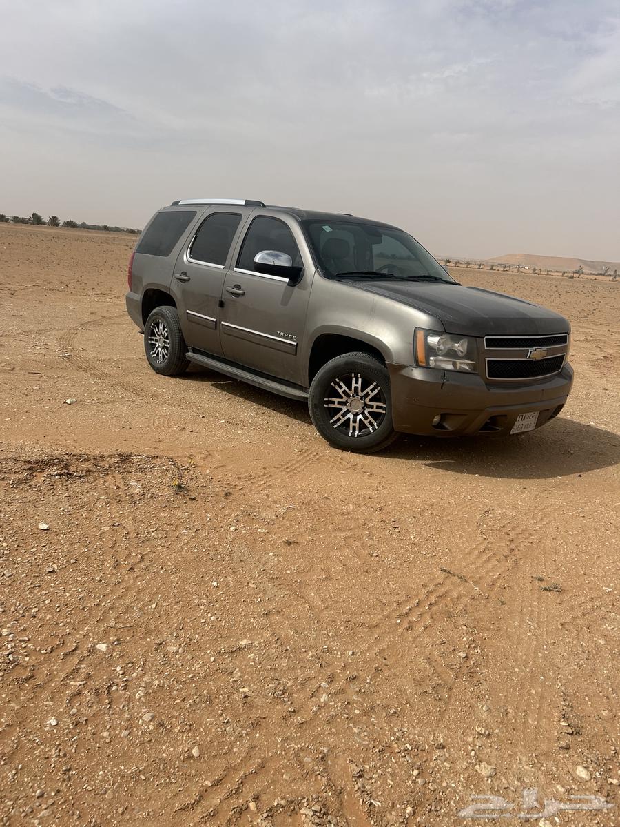 تاهو 201163373827113985114