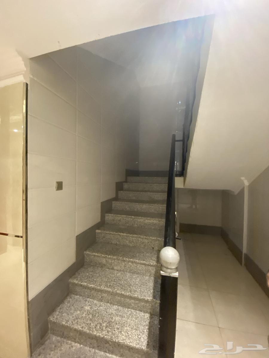 Luxury bachelor apartments for monthly rent63008161911555113