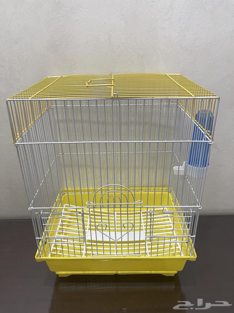 Zebra Finch Canary Bird Cages All Types of Birds63617996908545113
