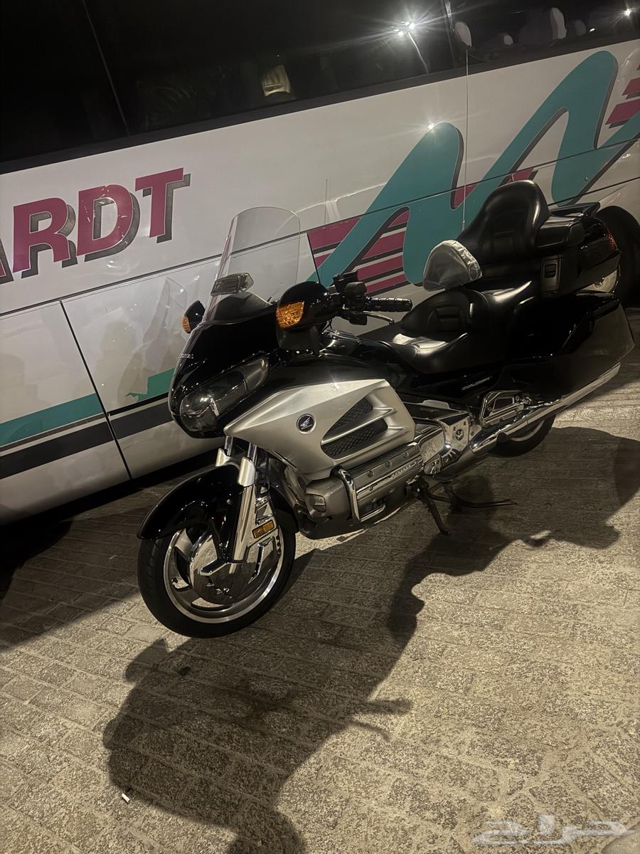 Qatif632449361849631116