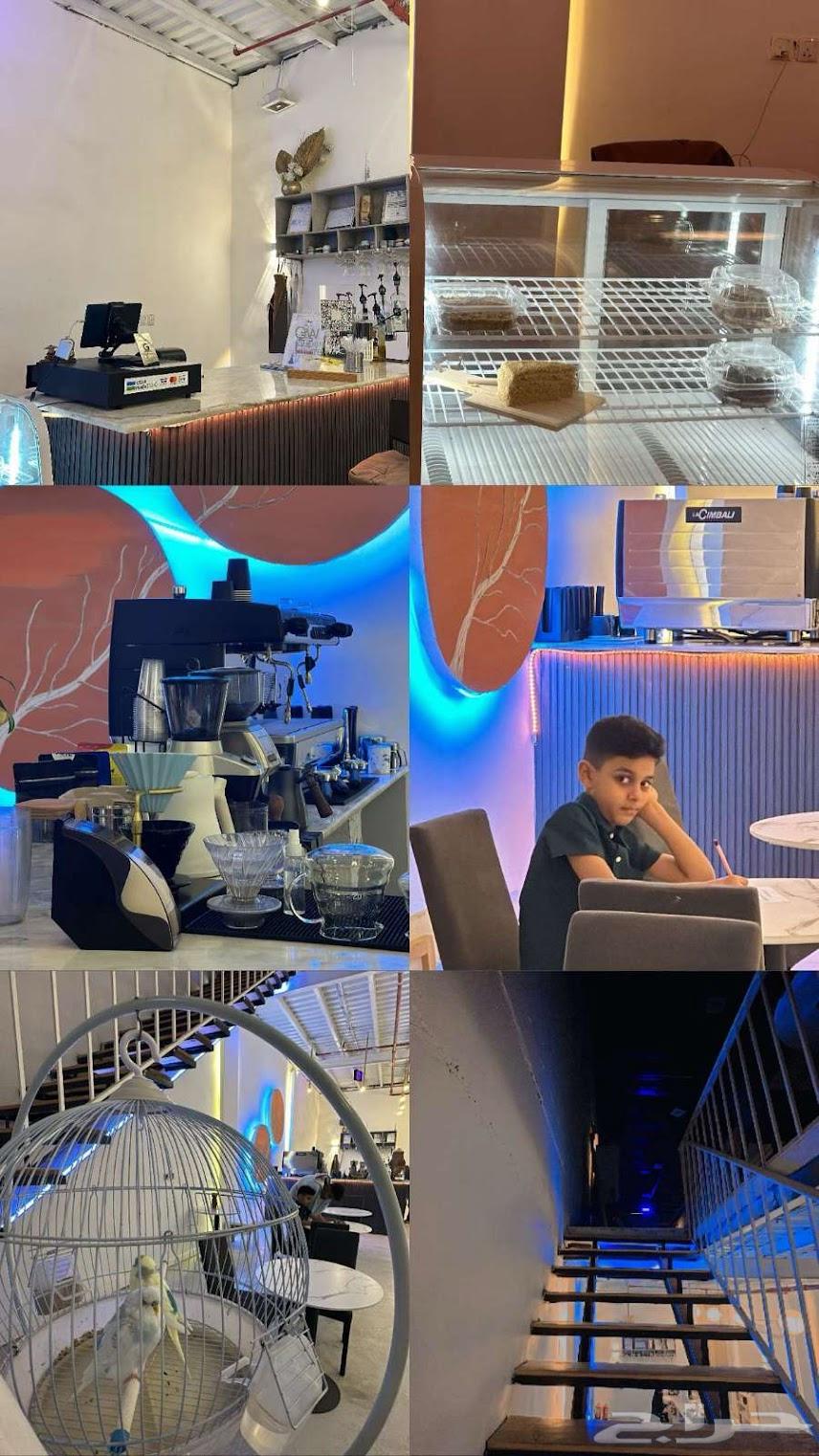 A promising investment opportunity, a cafe for kissing in the most prestigious neighborhoods of Jazan.63006821884417113