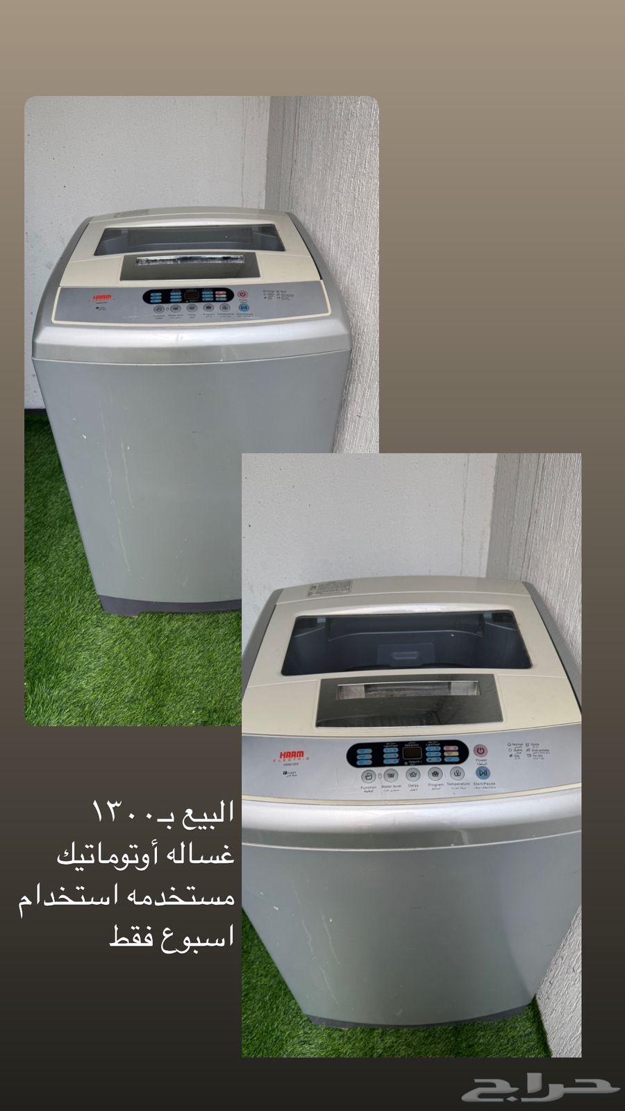الطاائف63243899308545114