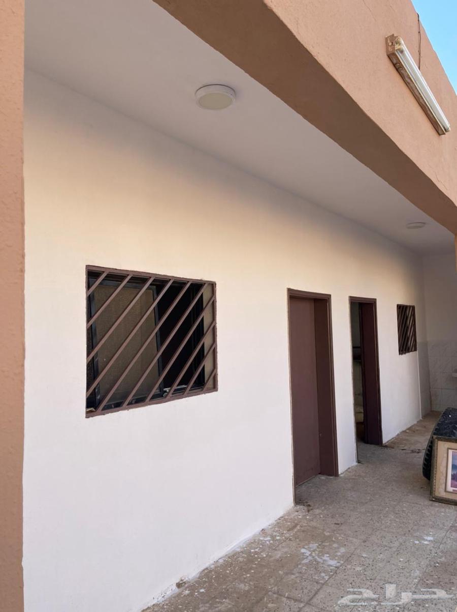 Rent or investment break area in Al-Musayyif district62884354924291112