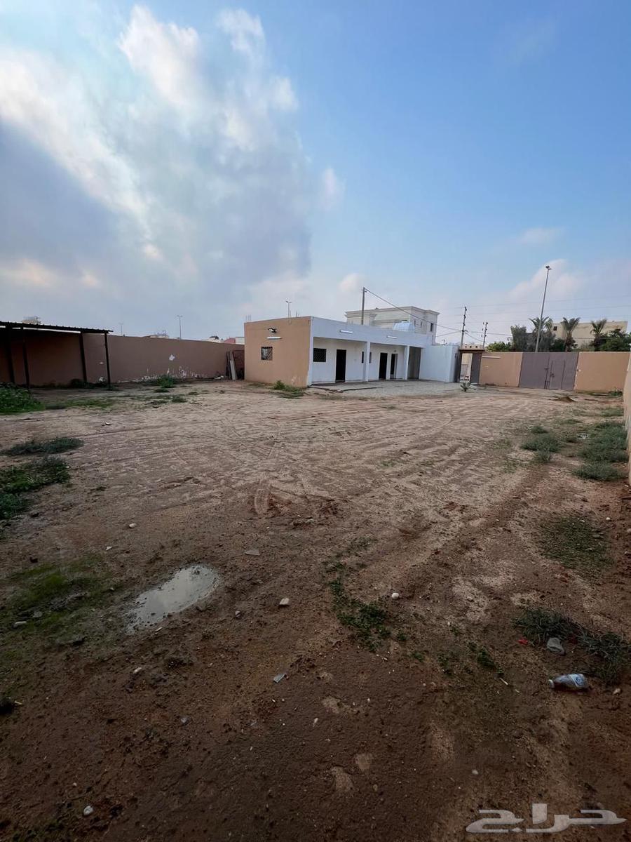 Rent or investment break area in Al-Musayyif district628843549242911120