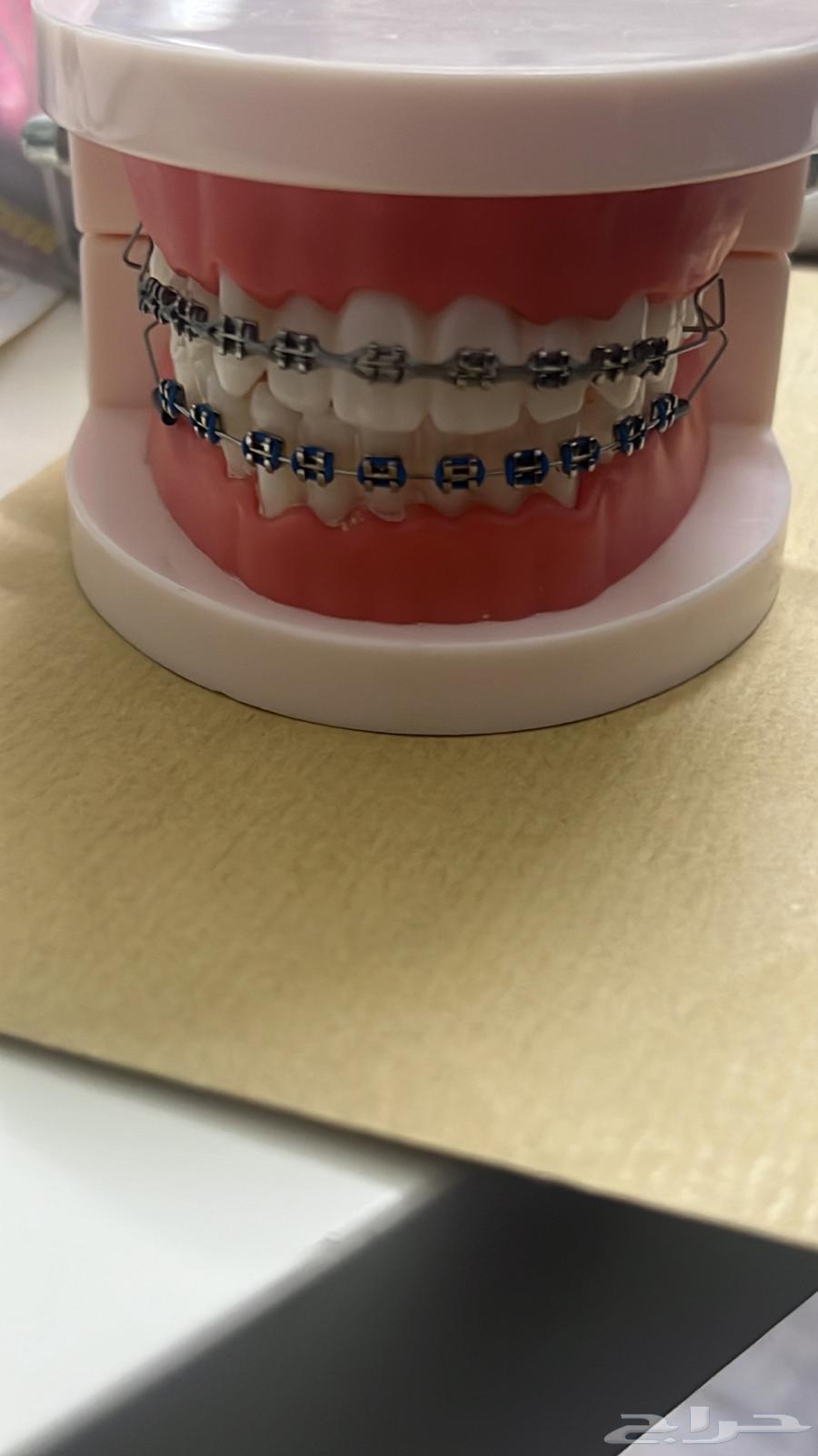 Zina's dental calendar63240860718338113
