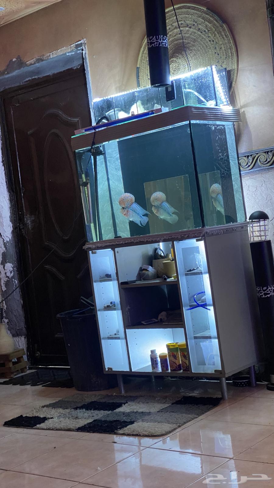 حوض سمك معه فلتر معلق63240356330114113